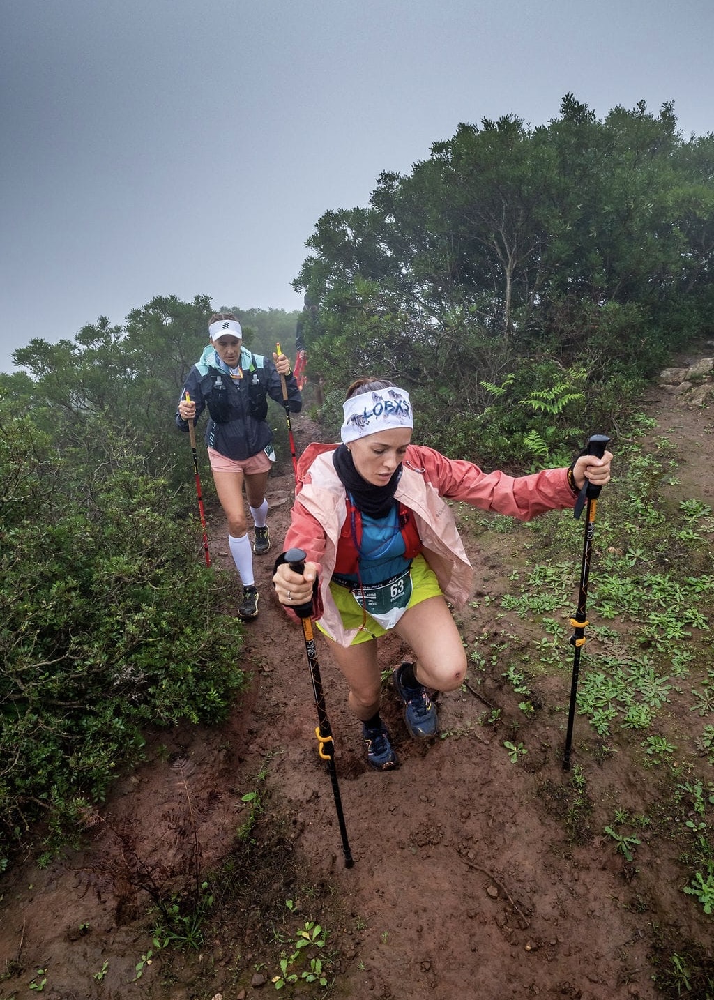 873bc821-1d4a-4277-83f0-3c42f21a1034