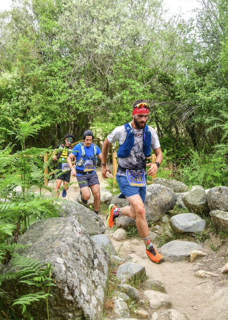 e3568a2b-95ce-4861-b8fc-4c7996d0810e